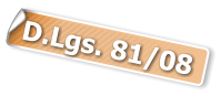 D.Lgs. 81/08