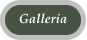Galleria