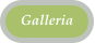 Galleria